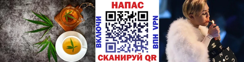 MEGA как войти  Касли  Cannafood конопля 