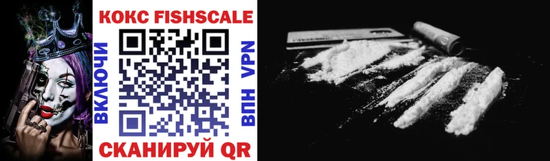 цена наркотик  Касли  COCAIN FishScale 