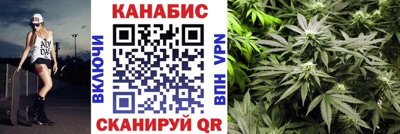 магазин продажи Касли Канабис OG Kush